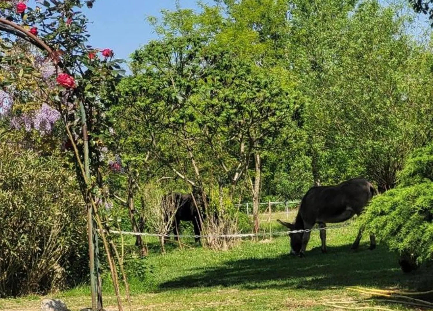 Pey Sud Villa Sistels Holiday home